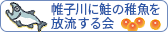 帷子川に鮭の稚魚を放流する会