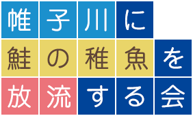 帷子川に鮭の稚魚を放流する会